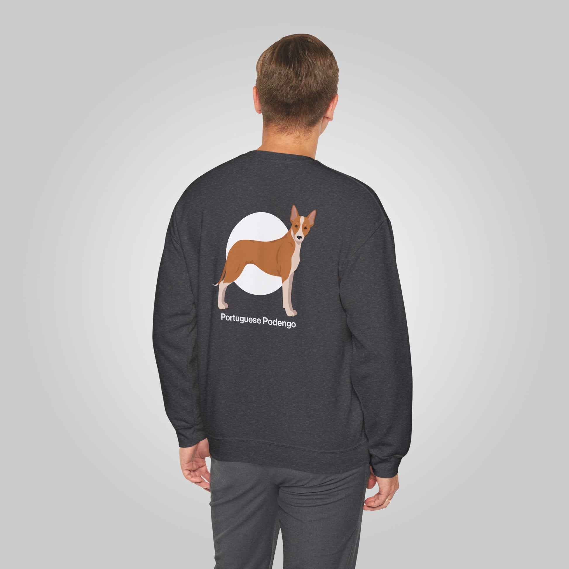 Man wearing Portuguese Podengo sweatshirt, showcasing back design with graphic of a Podengo dog.