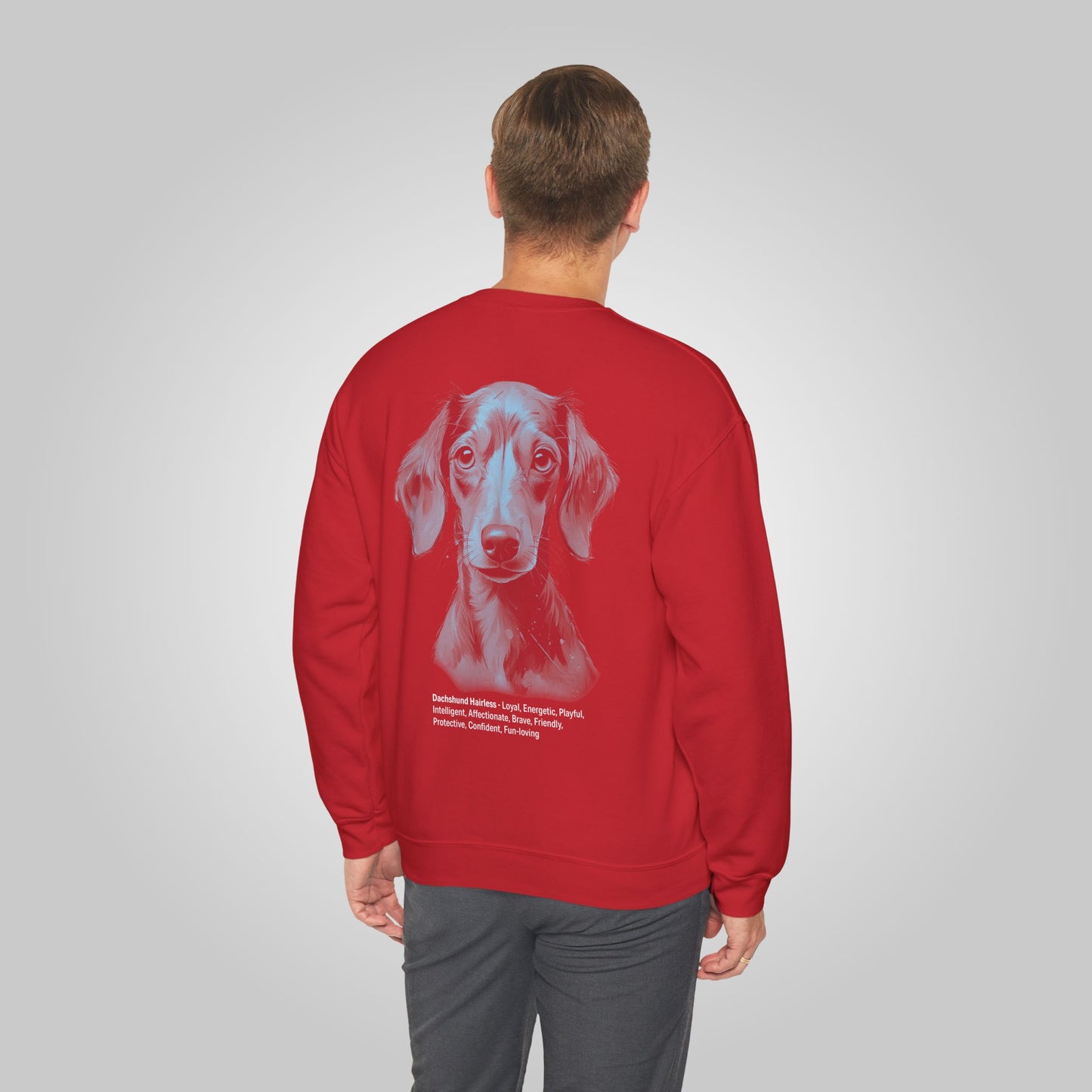 Dachshund hairless Dog Unisex Heavy Blend™ Crewneck Sweatshirt - Dachshund hairless Sweatshirt