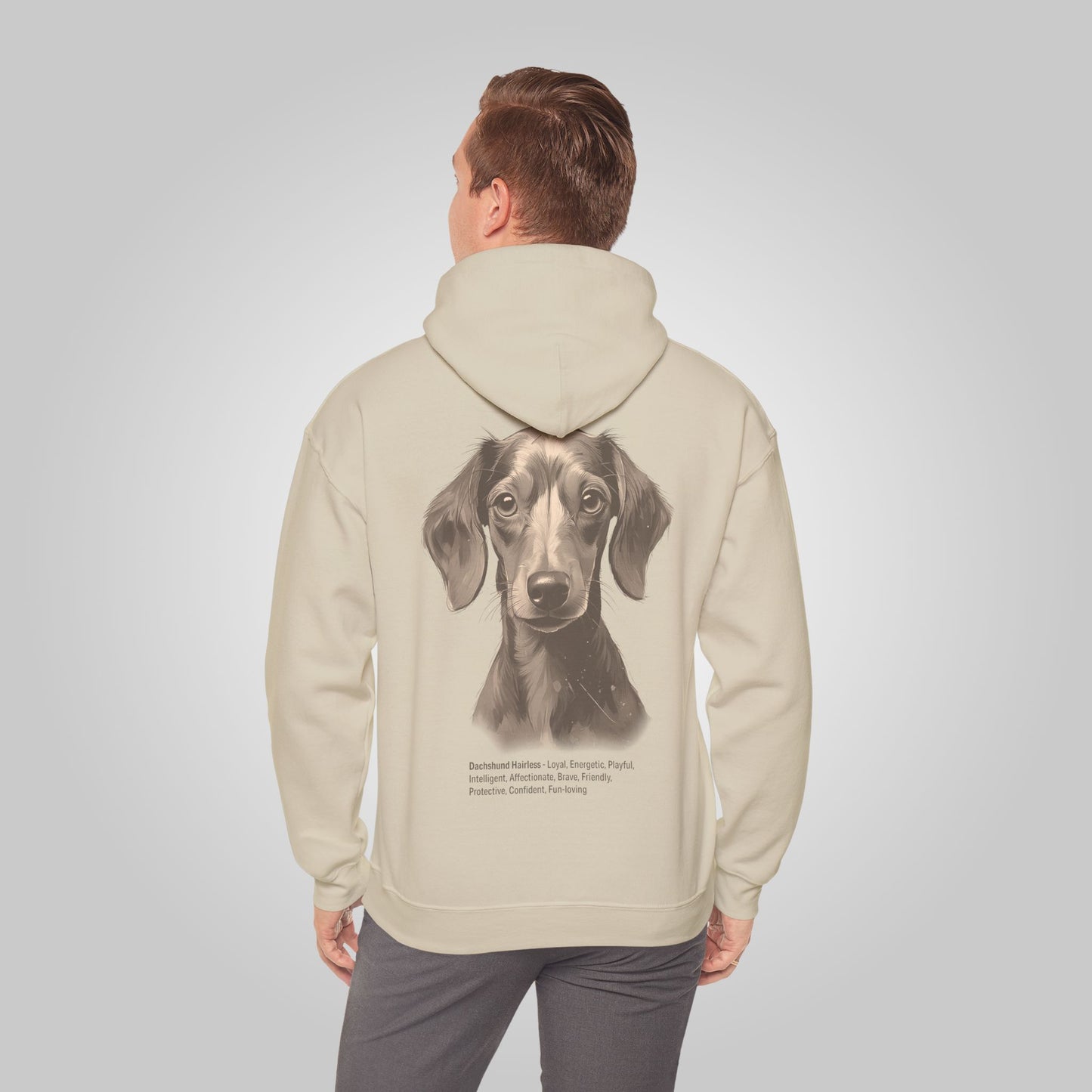 Dachshund hairless Dog Unisex Heavy Blend™ Hooded Sweatshirt - Dachshund hairless Hoodie